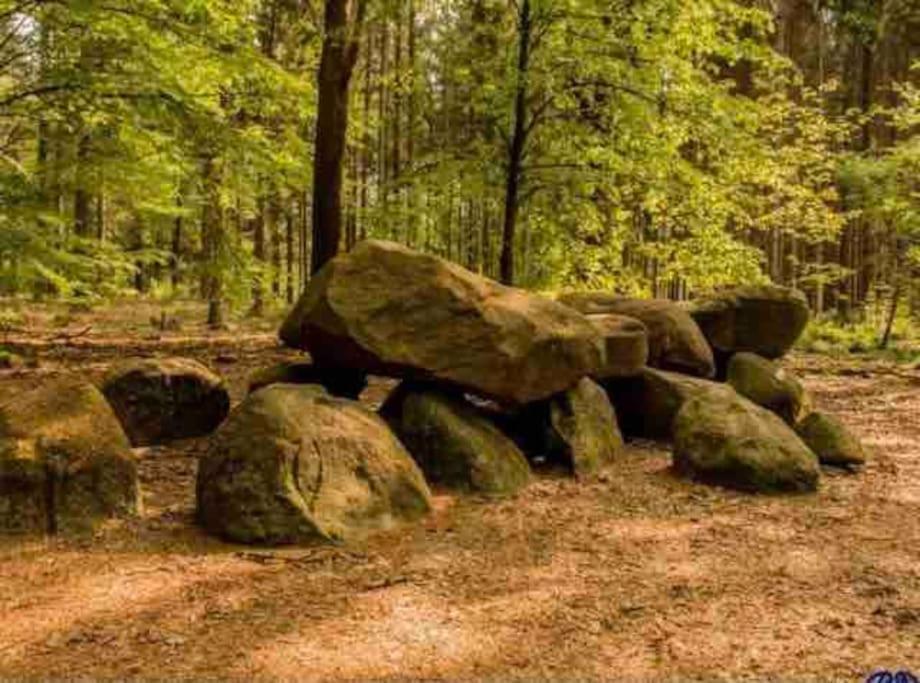 Chalet Midden In De Natuur! Анло Екстер'єр фото